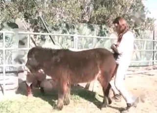 Hardcore fucking with a horny beast