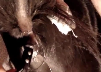 Violent close-up bestiality here