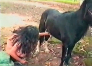 Horse cock getting worshiped on cam